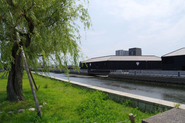 対岸には無かった緑が良い雰囲気。