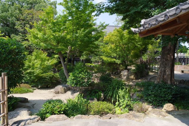 緑あふれる美しい造形の日本庭園があります。