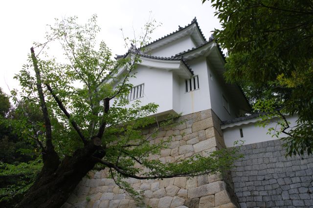 挙母城（七州城）の写真ページ