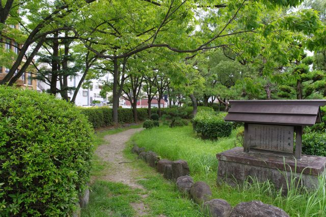 街中にあり緑豊かな公園のような雰囲気の敷地。
