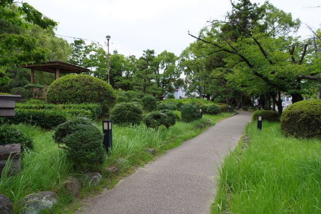 敷地の西側、道路沿いの道を進みます。