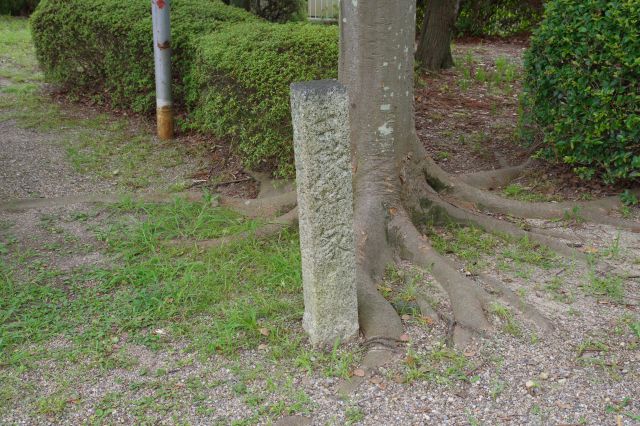 七石表の続きで今川軍武将の戦死場所、三号碑。