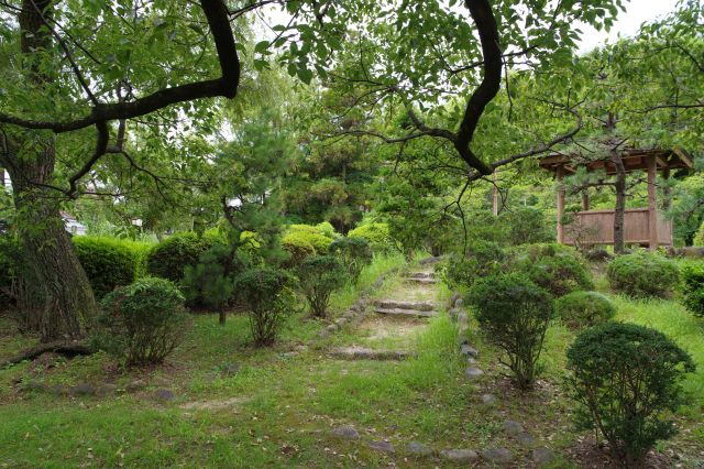 東屋がある丘へ。