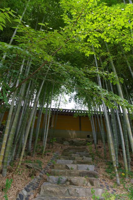 塀側に登る階段と竹林。