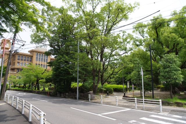 桶狭間の戦い、今川義元を後世に静かに伝える場所でした。