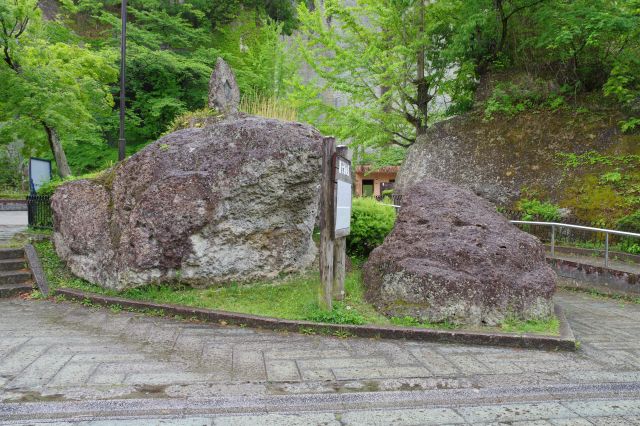 親子がえる、この向きだと分かりやすい。