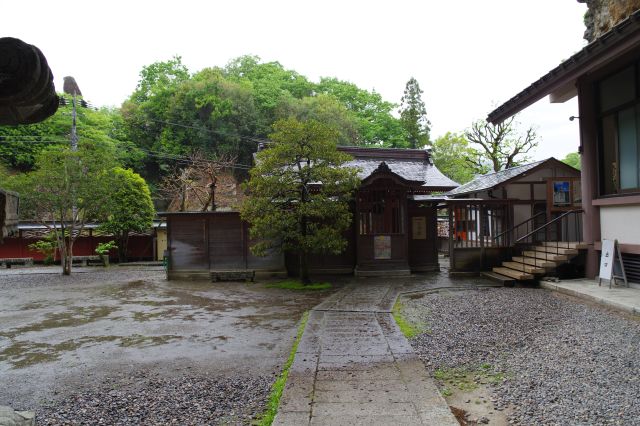 小雨が降り潤う。