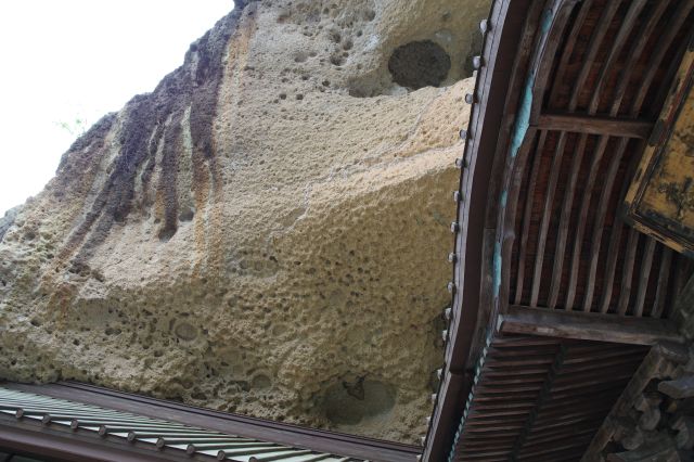 力強さを感じさせます。