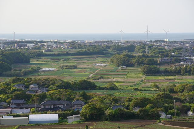 陸地はキャベツ畑等緑あふれる。