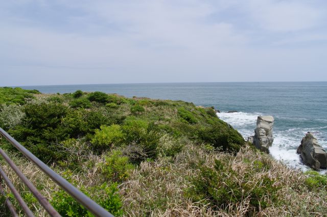 遊歩道を進んでいきます。太平洋の水平線が続きます。