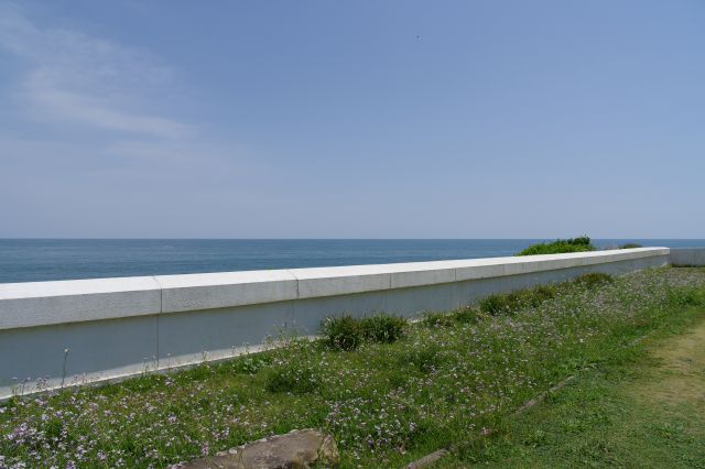 東側は低い白塀の先に太平洋の水平線が広がります。