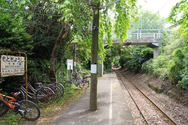 ホームの奥へ、切通の緑の囲まれた自然感溢れる駅です。ちょっと虫にも注意。