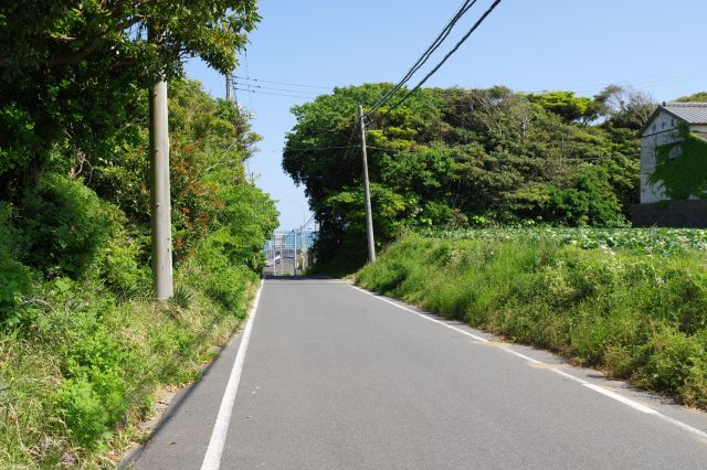 外川駅から南東側へ、住宅とキャベツ畑の静かな道を進みます。