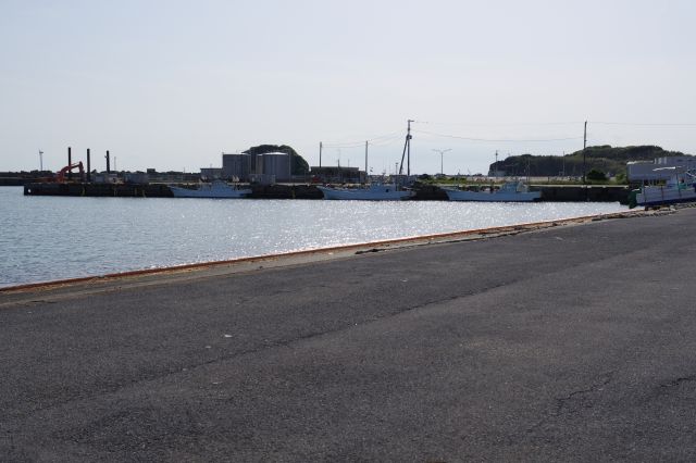 広い岸壁で港湾の範囲も広いです。