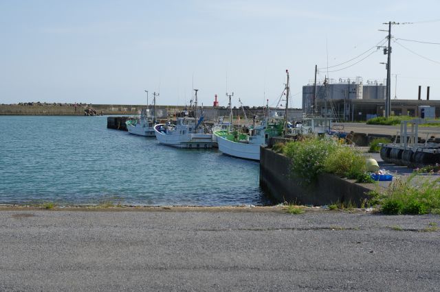 海に突き出た道沿いに並ぶ船達。