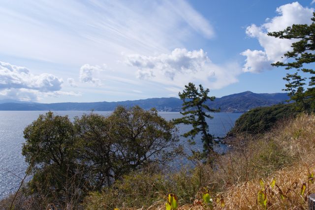 右側は伊豆半島。