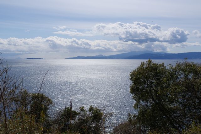 正面に伊豆半島の先（中央に小室山も）、初島が見えます。