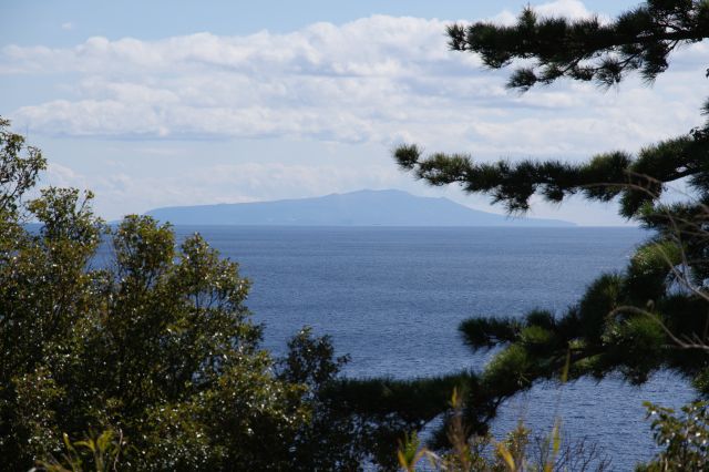 木々の間に大きな大島が見えました。