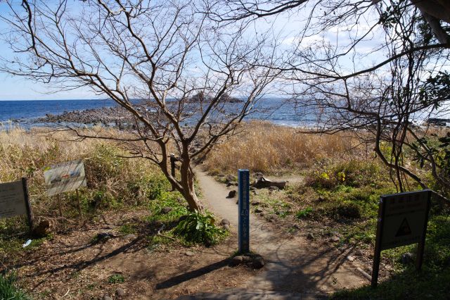 地上の海岸に到着しました。