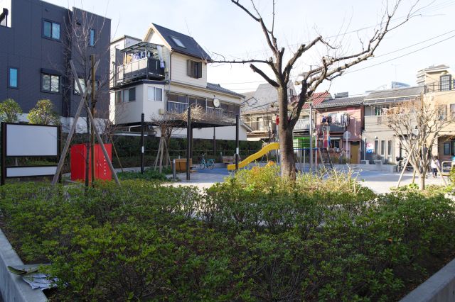 比較的新しい公園です。