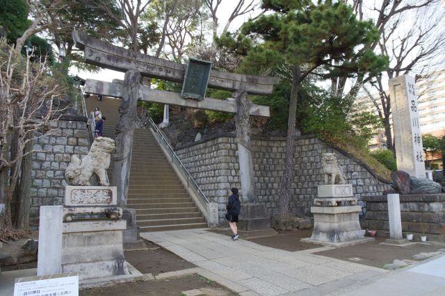 鳥居の先には石垣の斜面と急階段。