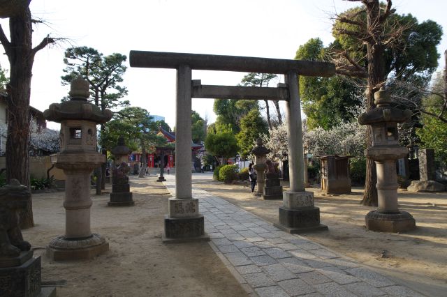平らな高台で2つ目の鳥居から正面に参道が続きます。