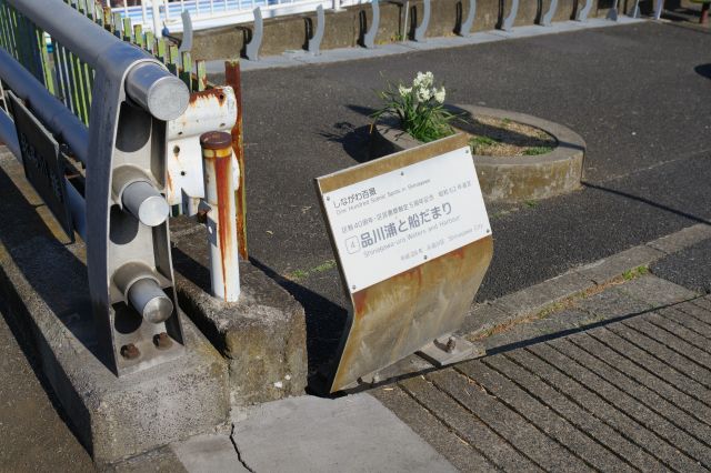 しながわ百景に選定されています。
