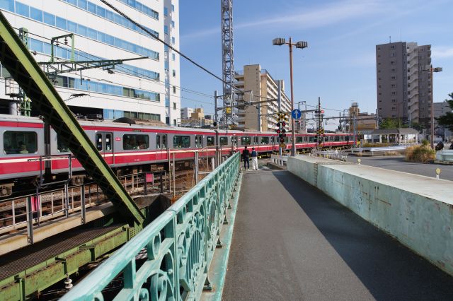 今しか見られない風景。