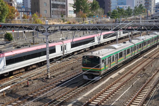 東海道線と成田エクスプレス。