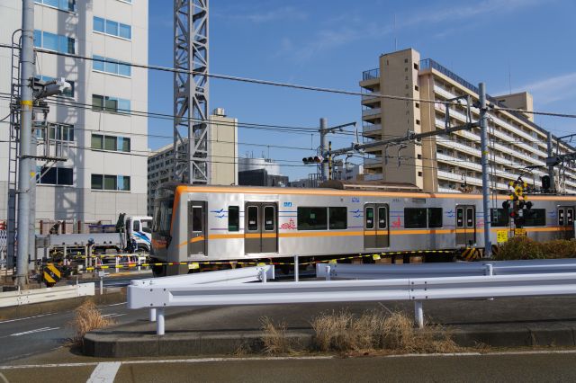 いずれこの光景は見られなくなります。
